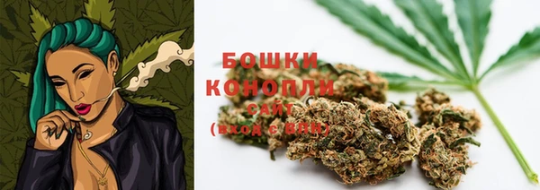 шишки Саяногорск