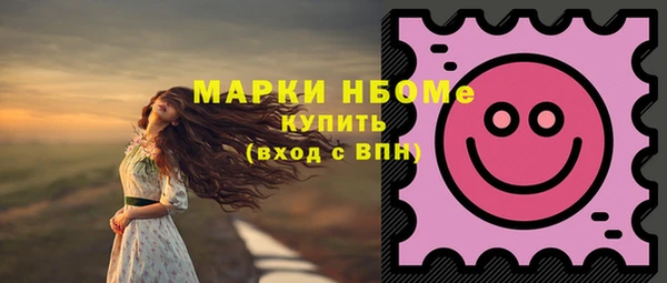 шишки Саяногорск