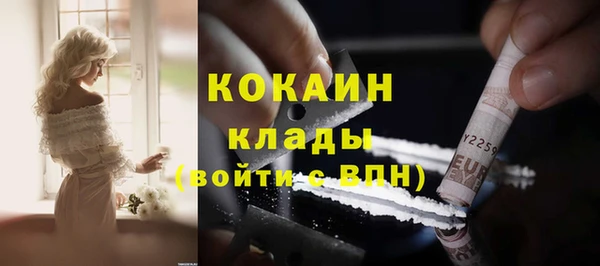 шишки Абинск