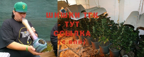 шишки Абинск