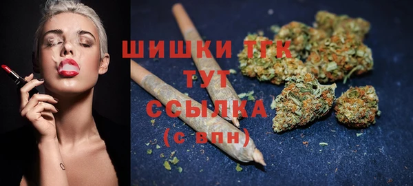 индика Абдулино