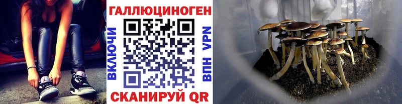 Псилоцибиновые грибы прущие грибы  Калачинск 
